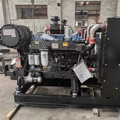 WP10B325E200 Motor pentru utilaje pentru construcții